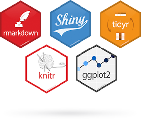 R Packages